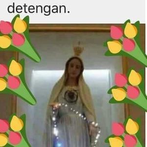 Meet your Posher, Carmen